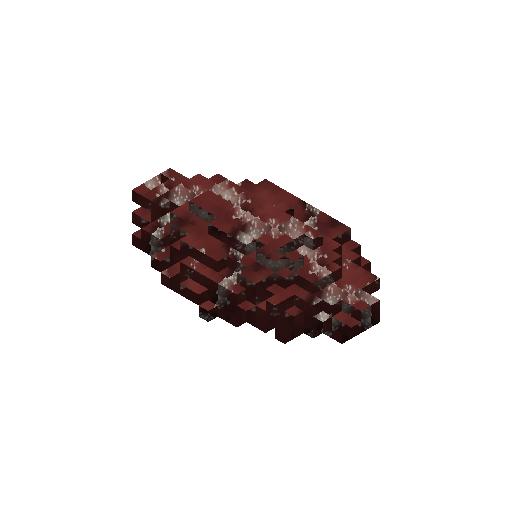 Salted Meat